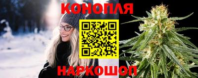 сатива Кинель