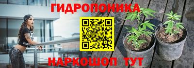 ALPHA PVP Кандалакша